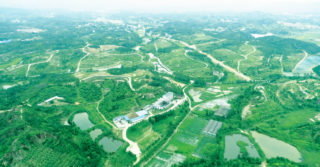 赣州崩岗综合治理