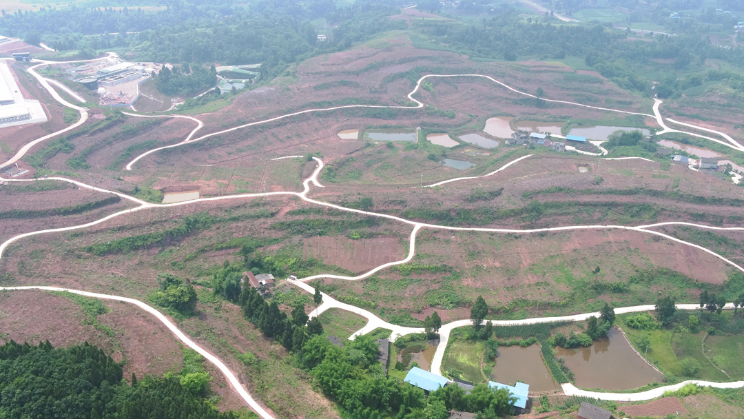 重庆合川区坡耕地水土保持综合治理