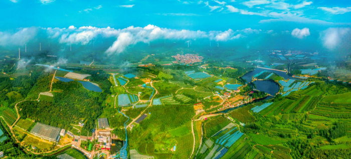 1763967751876910.png 图片2.png