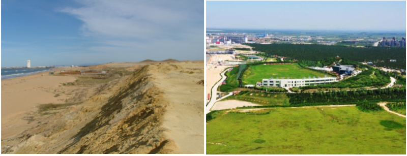 1764580581669634.png 图片6.png