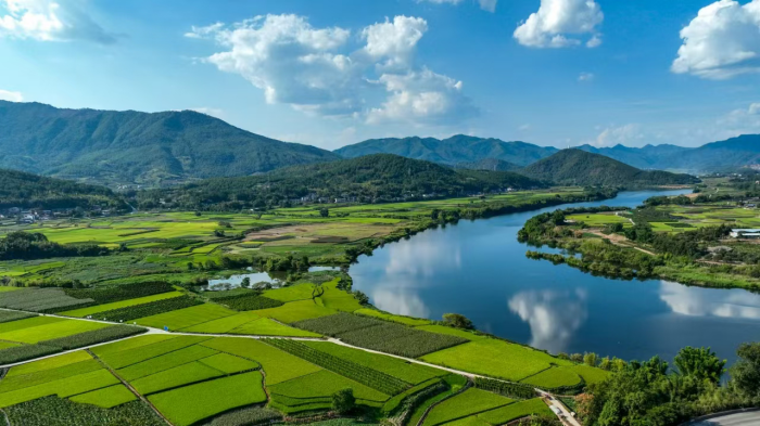 1780651476886799.png 图片4.png