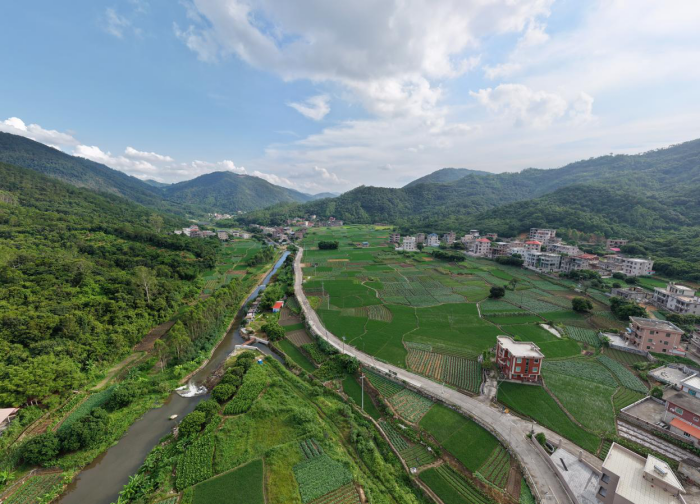 1788170234417991.png 图片1.png