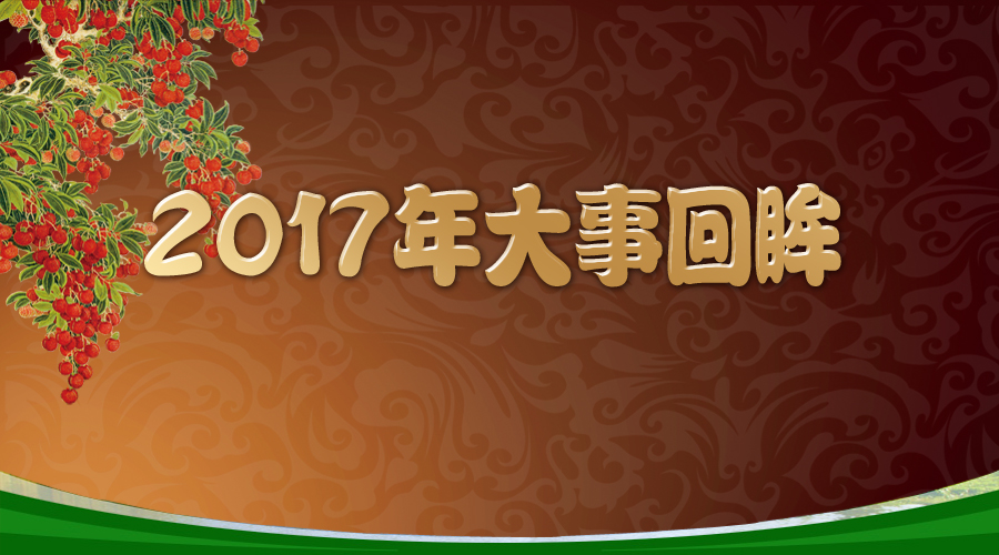 2017年大事回眸