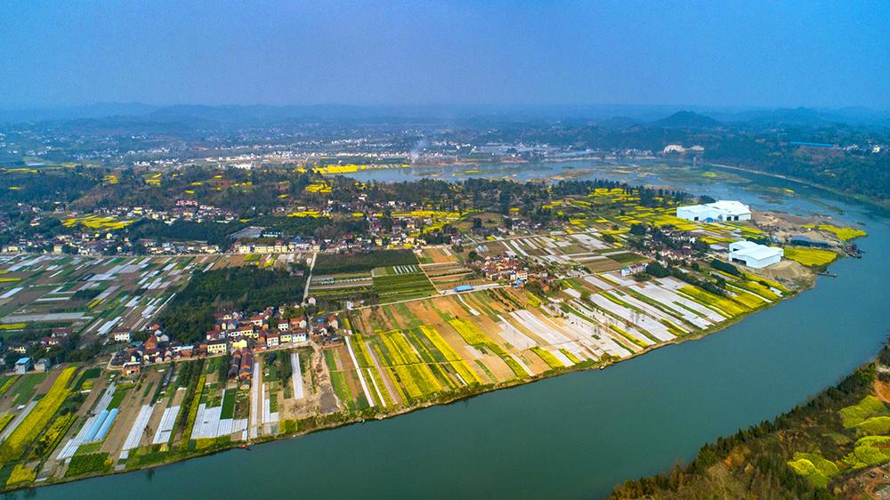 四川省资阳市董家坝水土保持景观