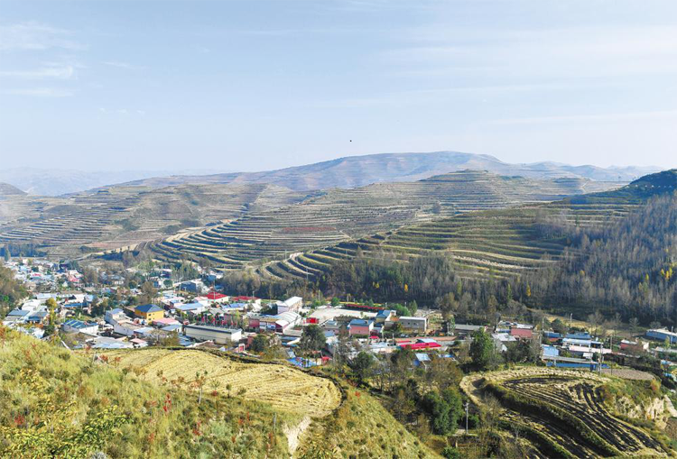 这是10月7日拍摄的青海省西宁市湟中区拦隆口镇卡阳村。 新华社记者 张龙 摄.png