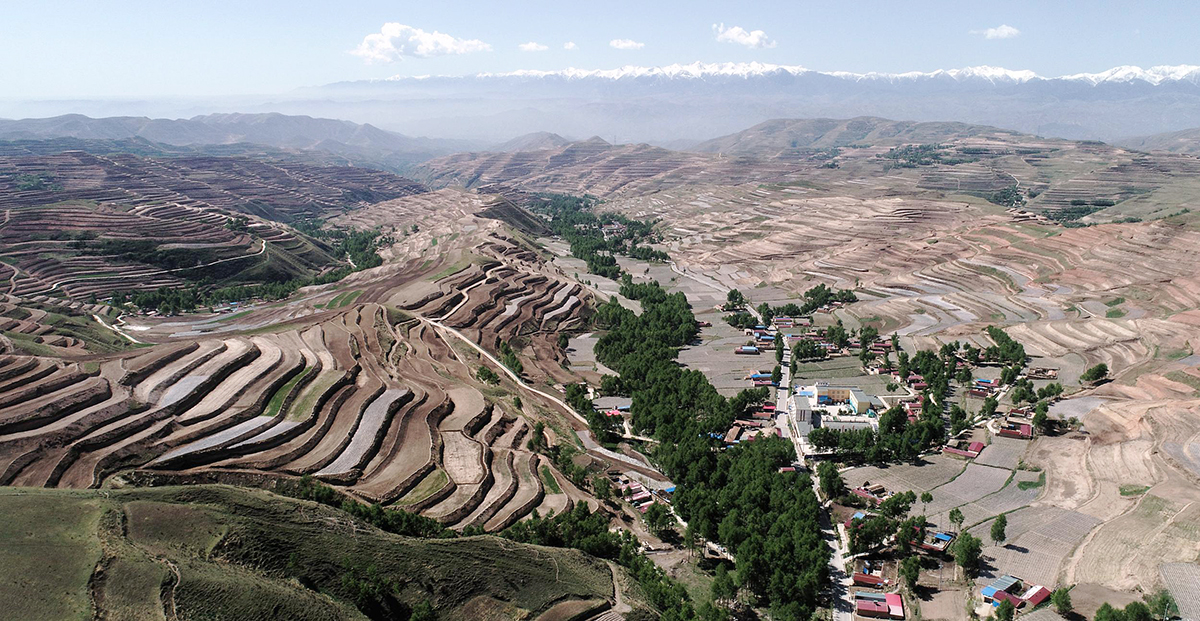 青海干旱东部农业区梯田通过水利工程告别靠天吃饭的历史。1200.jpg