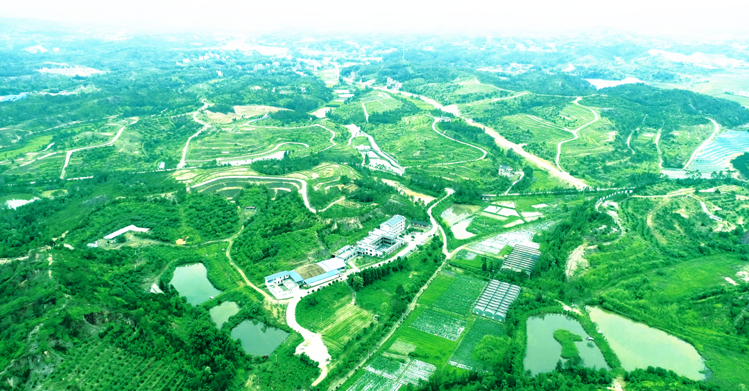 赣州崩岗综合治理 (2).png