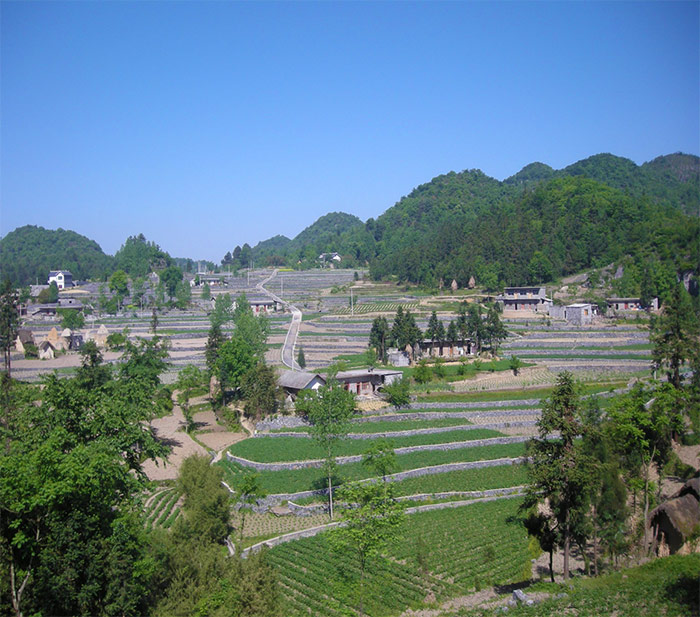 1绿竹小流域坡耕地综合配套路、沟、凼、池配套体系建设.jpg