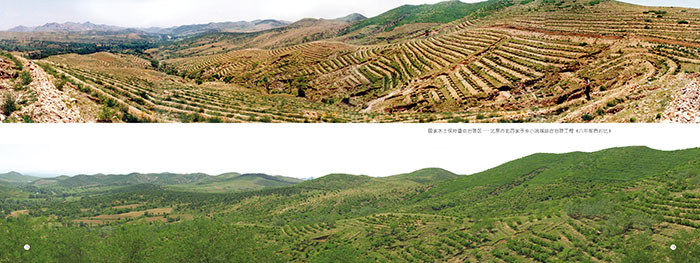 绿染川州入画屏2.jpg