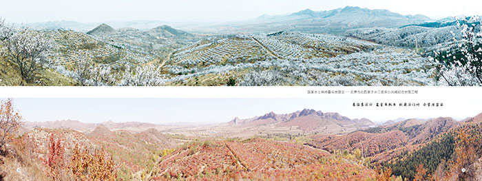 绿染川州入画屏4.jpg