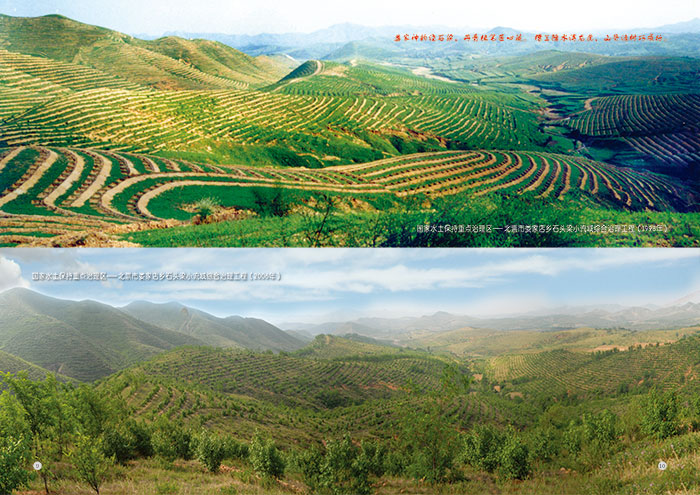 绿染川州入画屏6.jpg