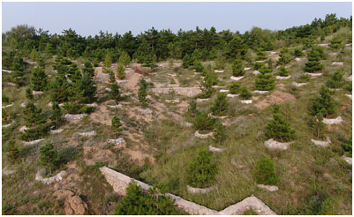 孙家沟流域石坎鱼鳞坑.jpg