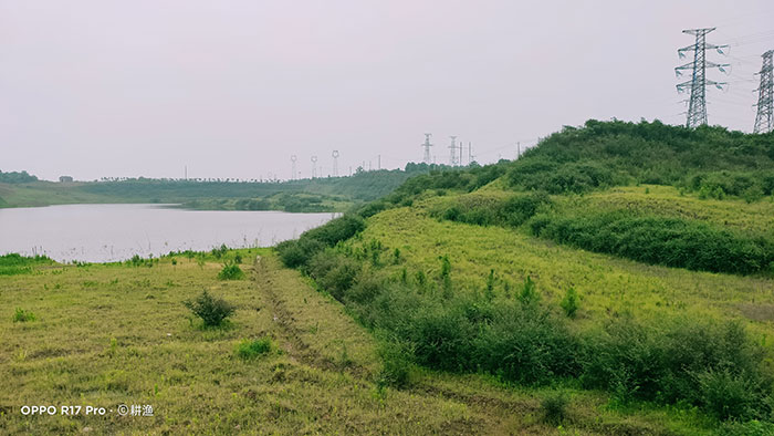 5取土场山水林田湖草建设.jpg