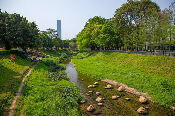 5福田河鱼翔浅底.jpg