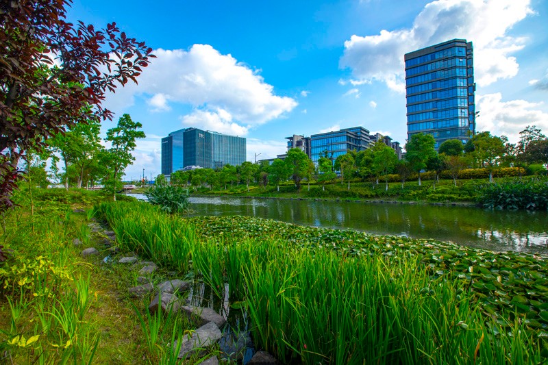 上海市青浦区西虹桥生态清洁小流域国家水土保持示范工程