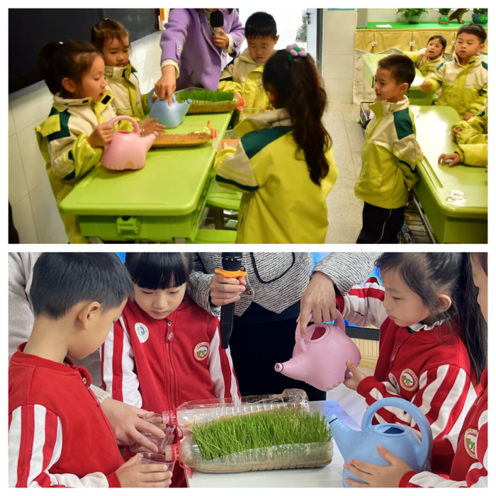 1702450374627274.png 图片11.png