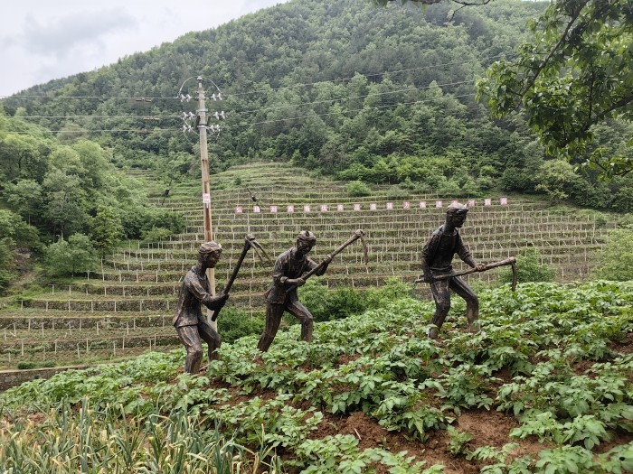 上世纪七十年代全国劳模刘西有带领群众修建的石坎梯田.jpg