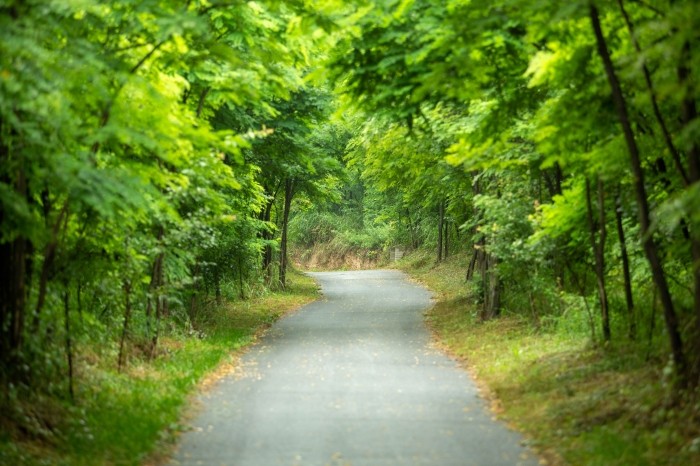 园区道路.jpg
