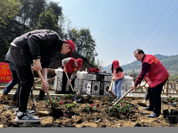 图1：3月12日，在活动现场，参加活动的干部职工和志愿者在种植杜鹃花。.JPG