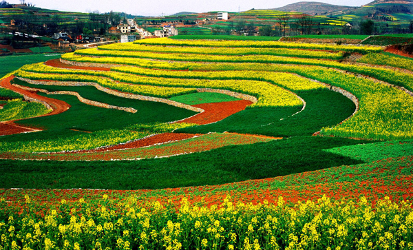 丹江口坡耕地项目区