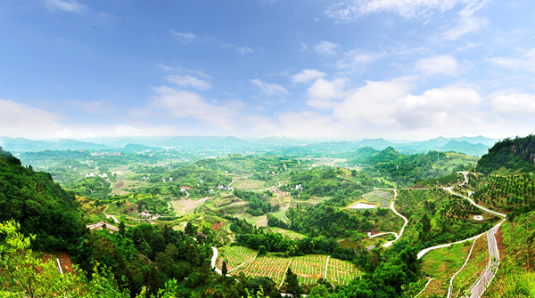 广安市广安区水土保持生态建设大示范区