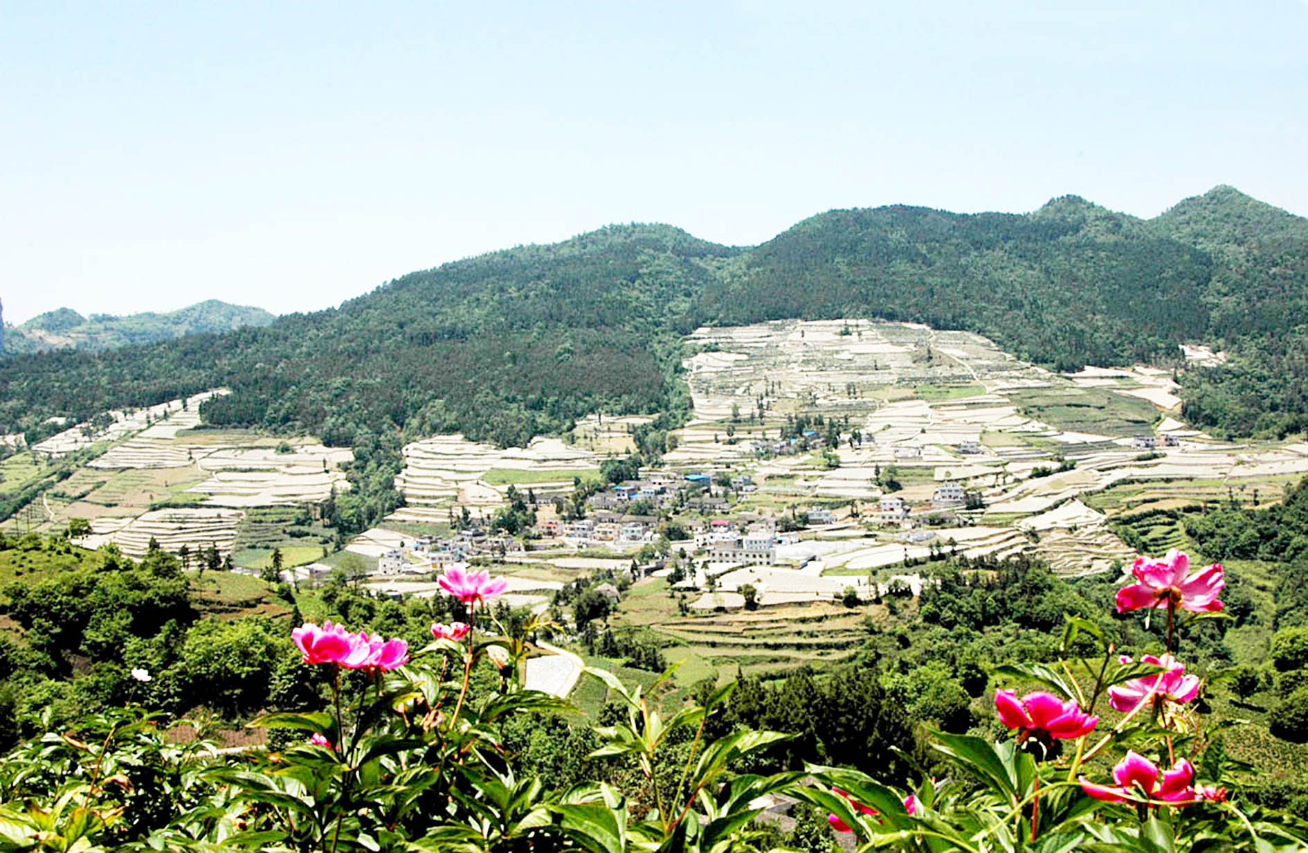 四川省屏山县国家水土流失综合治理工程