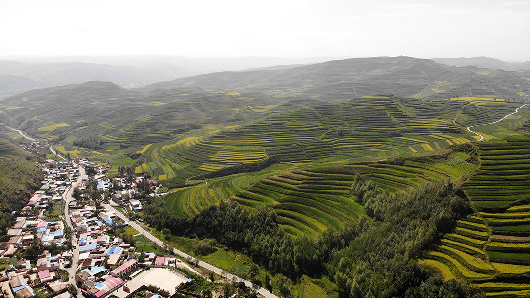 青海省湟中县卡阳村水保梯田建设情况