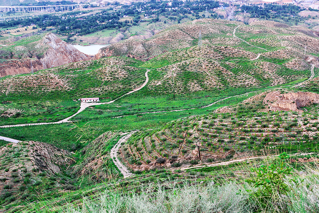 青海省尖扎县洋江沟小流域综合治理项目区