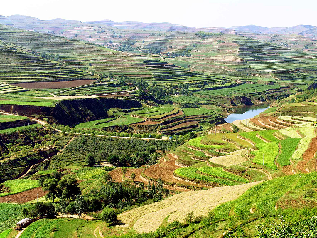 宁夏西吉县聂家河流域坝系建设