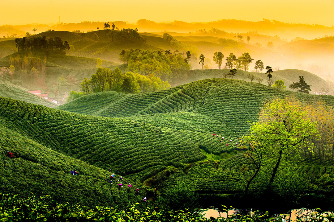 信阳市南湾水库水源区水土保持生态建设工程