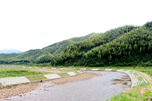 1115546025-3.jpg