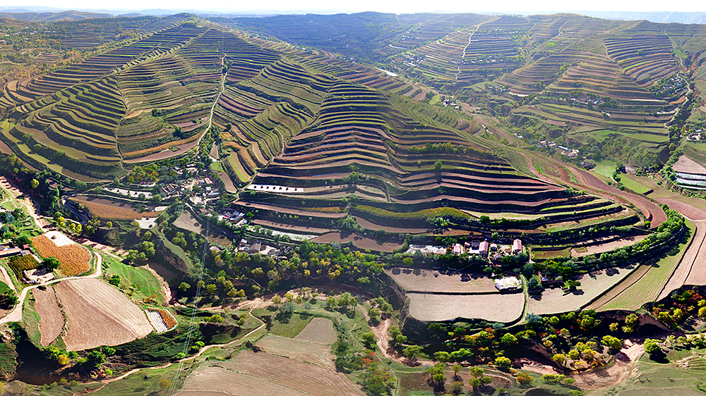 甘肃省定西市石泉乡合营村梯田