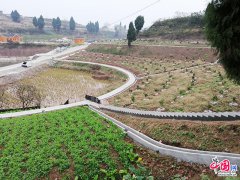 中国网：创新治理模式 资中水土保持生态建设再上新台阶